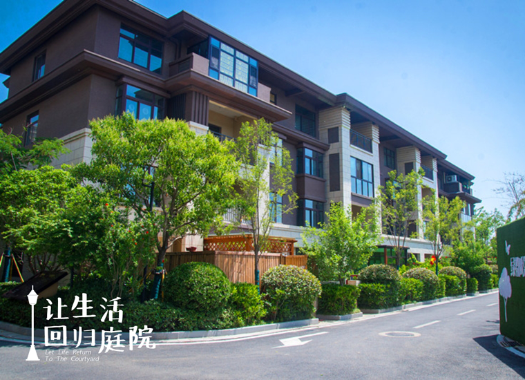 前后张望南阳50年：这样的庭院，，，，，，很难再有了！