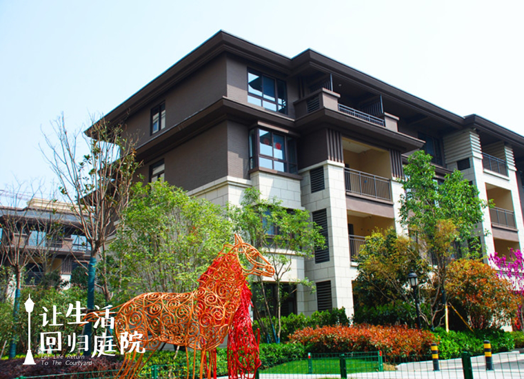 前后张望南阳50年：这样的庭院，，，，，，很难再有了！