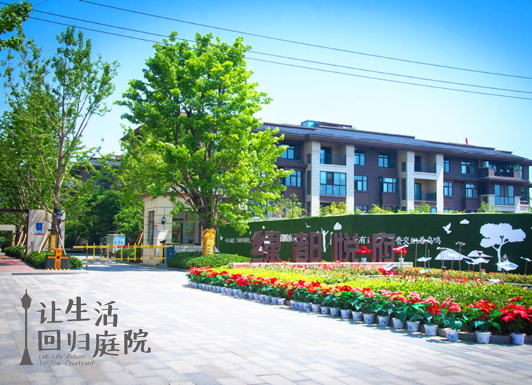 前后张望南阳50年：这样的庭院，，，，，，很难再有了！