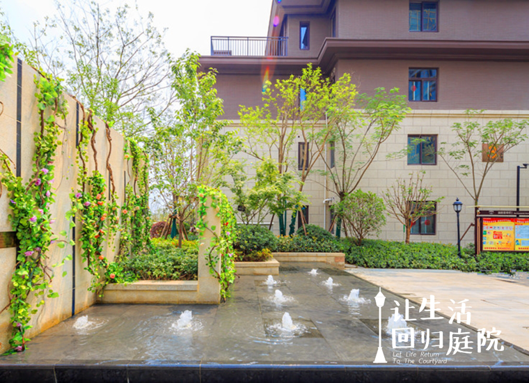 前后张望南阳50年：这样的庭院，，，，，，很难再有了！