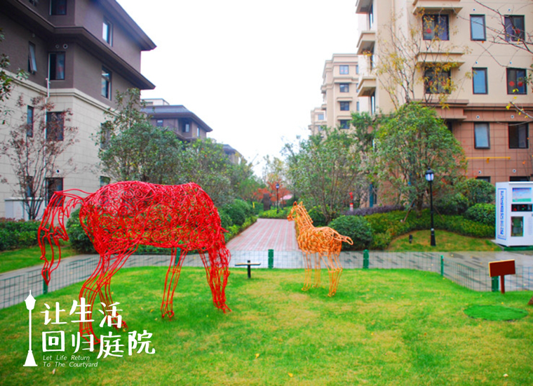 前后张望南阳50年：这样的庭院，，，，，，很难再有了！