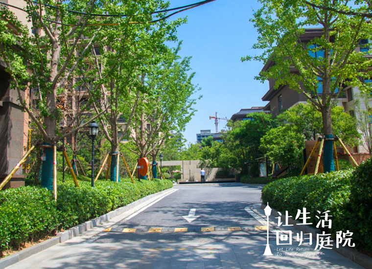 前后张望南阳50年：这样的庭院，，，，，，很难再有了！