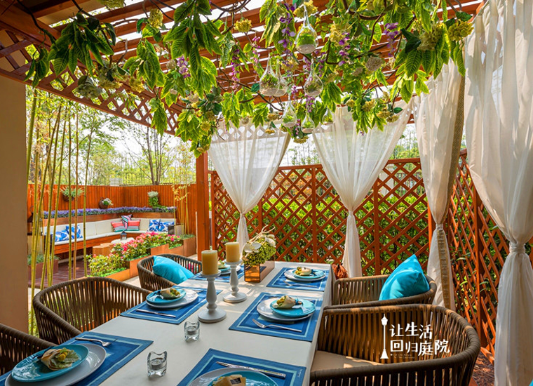 前后张望南阳50年：这样的庭院，，，，，，很难再有了！