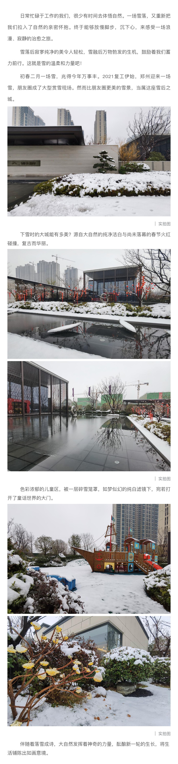 2021浪漫开年，，，，，，，共赏一场鹅毛大雪！