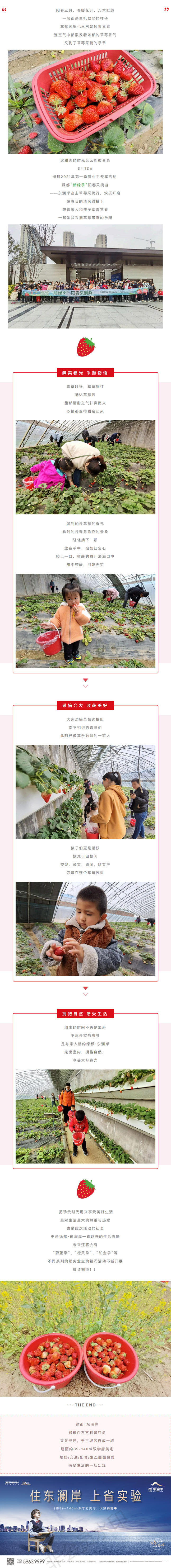 草莓采摘行|“莓”好偕行，，，，不负春日好时光