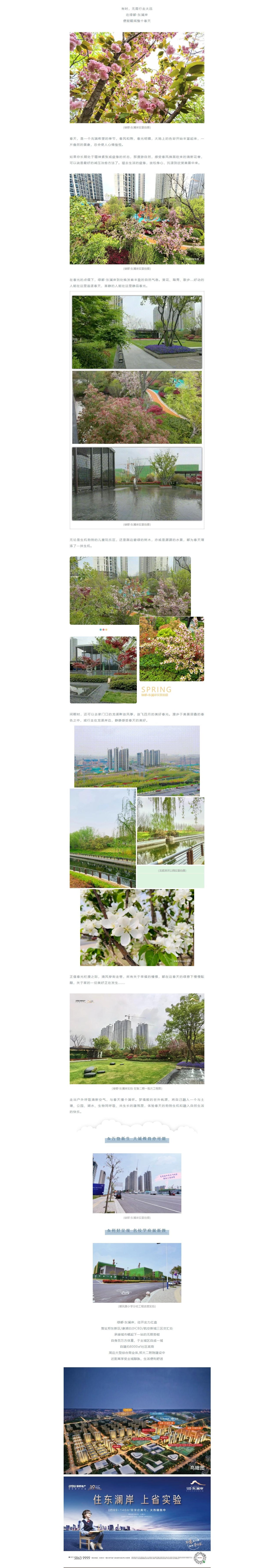 赏花踏青，，，，来一场和春天的约会