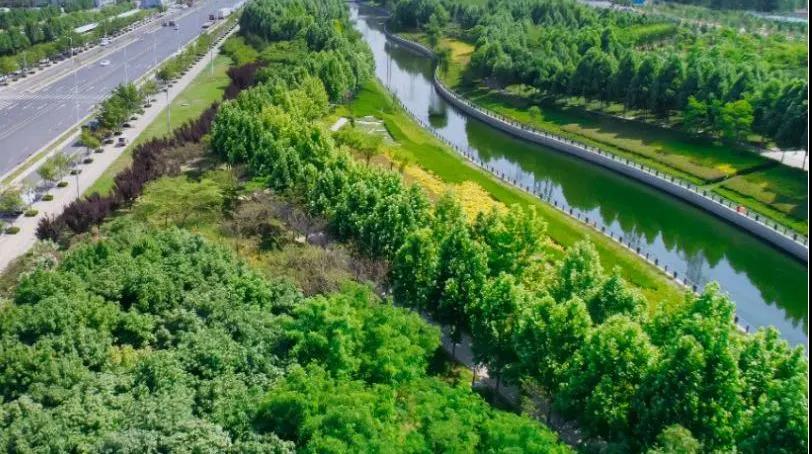 定了！“神兽”线上开学，，，，，家里有学生的必看！