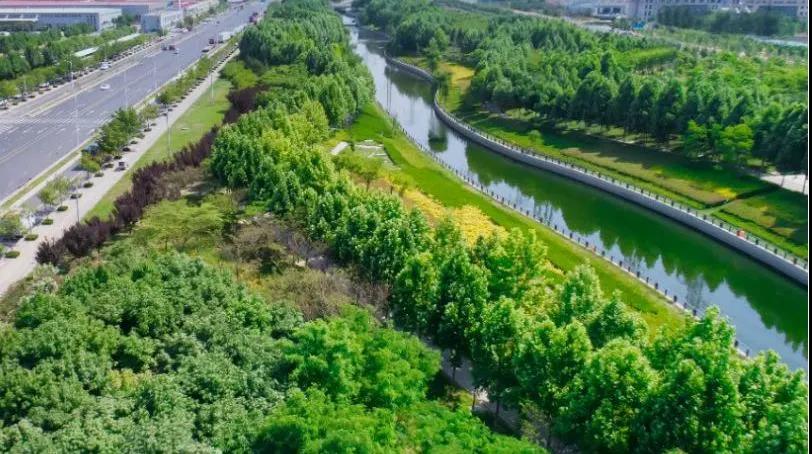 8#楼王加推在即 | 经开顶流热盘，，，，，这一次万万别错过！