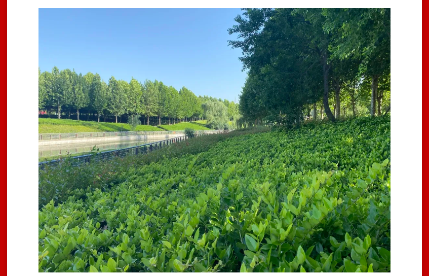 年终薅好房，，，，，，，这个明星红盘把“出圈”举行究竟！