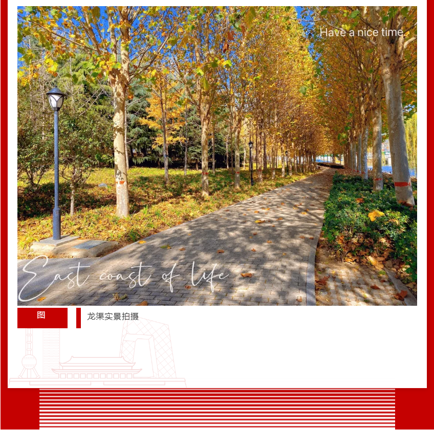 年终薅好房，，，，，，，这个明星红盘把“出圈”举行究竟！